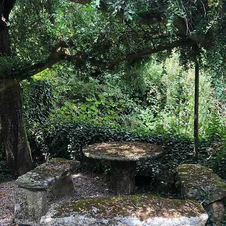 Casa Do