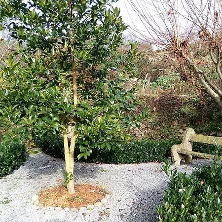 Casa Do Alojamento de Turismo Rural Terrenho